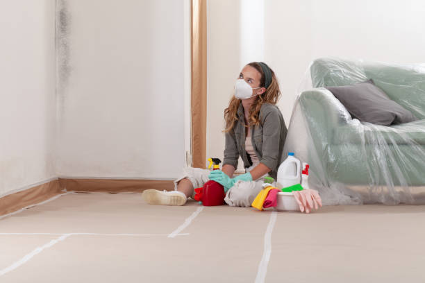 Trusted Bathroom Mold Removal service in Woodbine, NJ - Cheap Mold Removal